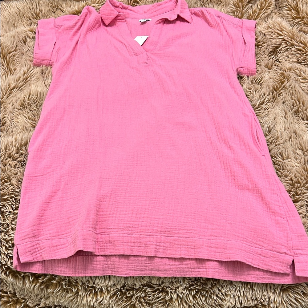 J. Crew Pink Collared Dress